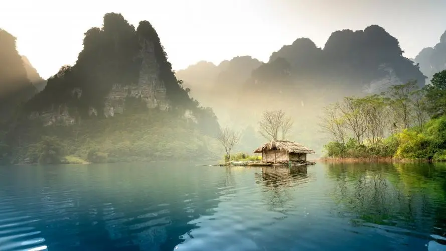 智慧智慧